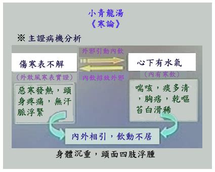 麻黃湯證|方劑學 14 講 麻黃湯